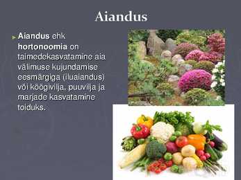 Suhkrukultuurid esitlus #11