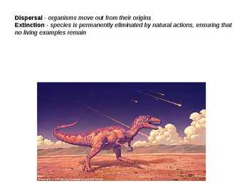 Environmental Biogeography #6
