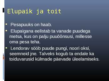 Lendorava elustiil #11