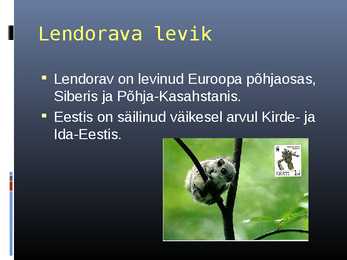 Lendorava elustiil #15