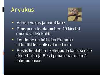 Lendorava elustiil #16