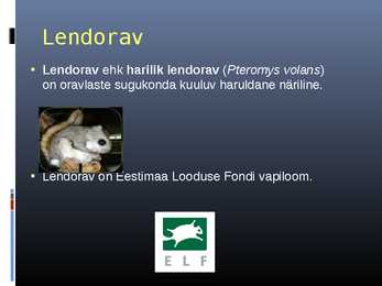 Lendorava elustiil #3