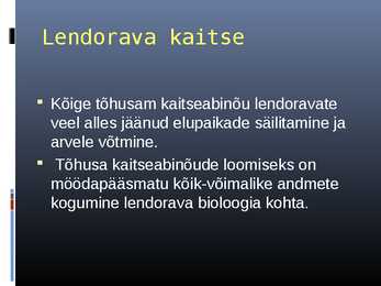 Lendorava elustiil #22