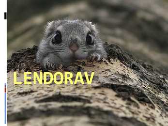 Lendorava elustiil