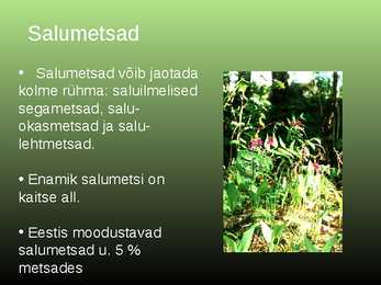 Salumetsa elustik #2
