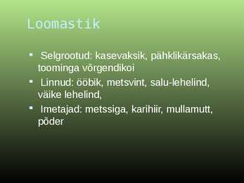 Salumetsa elustik #19
