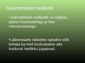 Salumetsa elustik #4