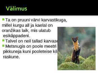 Metsnugis #2