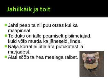 Metsnugis #5