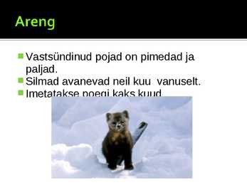 Metsnugis #7