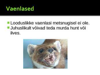 Metsnugis #9