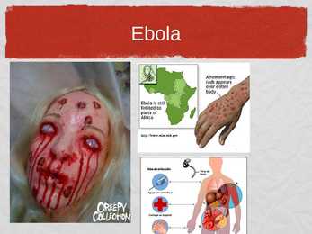 Ebola viirus ja lihasööja bakter #6