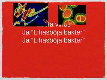 Ebola viirus ja lihasööja bakter