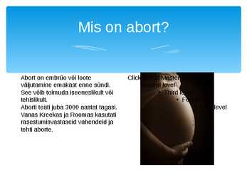 Abordi ettekanne #2