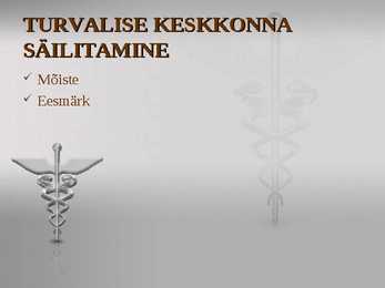 TURVALISE KESKKONNA SÄILITAMINE #2