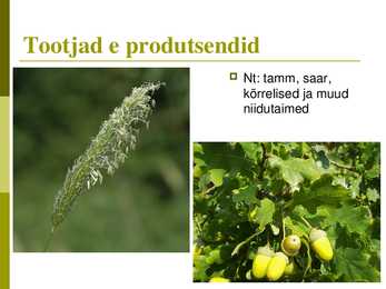 Powerpoint puisniidu kohta #9