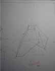 Hulktahk - kodune graafiline töö #2