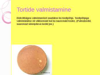 Biskviittainas #10