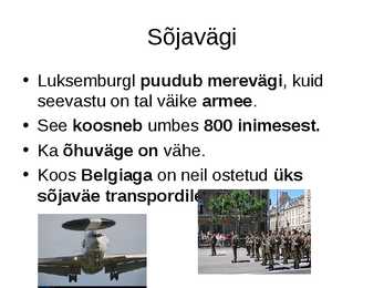 PPT-Ettekanne Luksemburgist #18