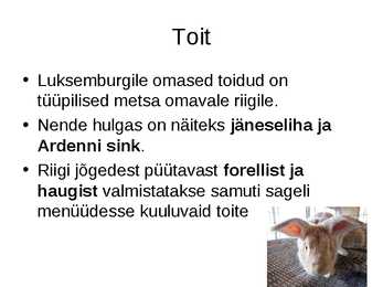 PPT-Ettekanne Luksemburgist #22