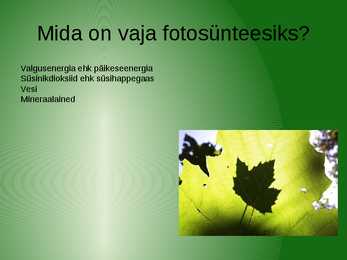 Fotosünteesi esitlus #2