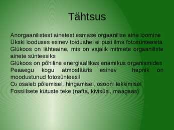 Fotosünteesi esitlus #6