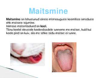 Maitsmine-haistmine-kompimine #2