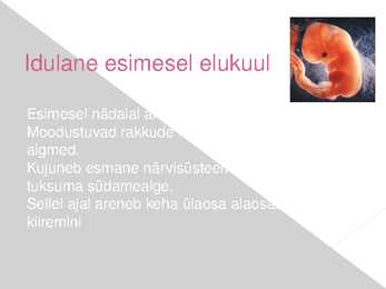 Rasedus - presentatsioon #2