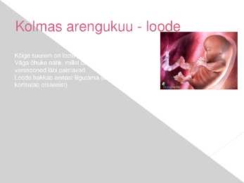 Rasedus - presentatsioon #4