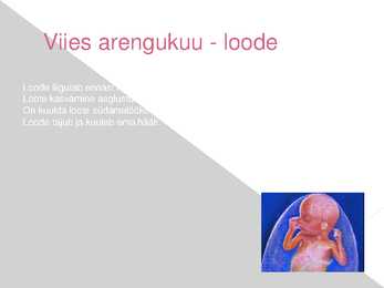 Rasedus - presentatsioon #6