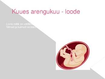 Rasedus - presentatsioon #7