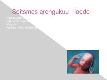 Rasedus - presentatsioon #8