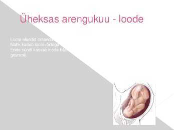 Rasedus - presentatsioon #10