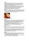 Raseduse referaat #4