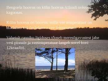 Nimetu #6