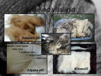 Vill #3