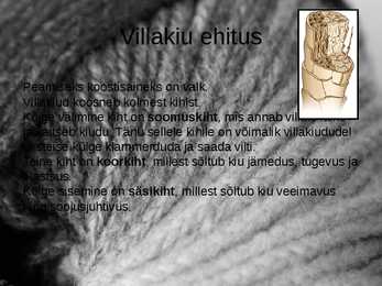 Vill #4