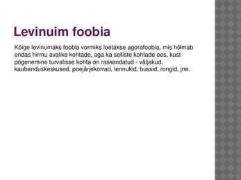 Foobiad-esitlus-powerpoint #3