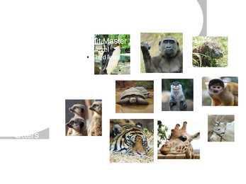 The London Zoo powerpoint esitlus #3