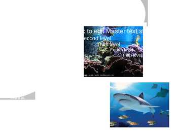 The London Zoo powerpoint esitlus #4