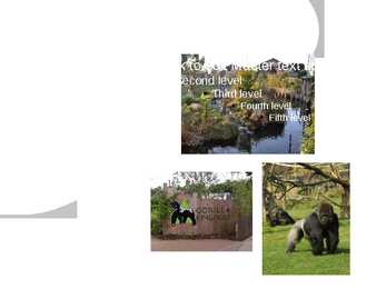 The London Zoo powerpoint esitlus #5