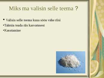 Riis-riisi kasvatamine ja sordid #2