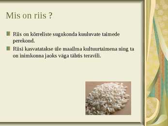 Riis-riisi kasvatamine ja sordid #4