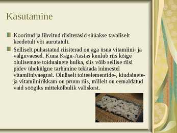 Riis-riisi kasvatamine ja sordid #6