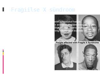 Mutatsioonide esitlus #11