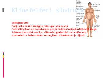 Mutatsioonide esitlus #9