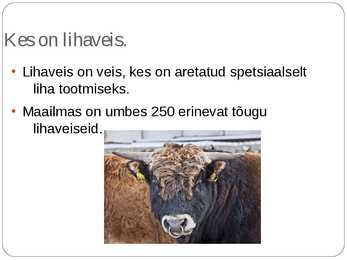 Lihaveised #2