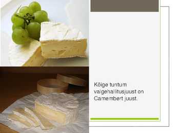 Piimast valgehallitusjuustu saamine #8