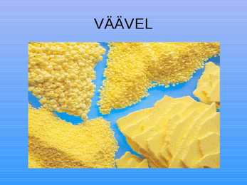 VÄÄVEL #7
