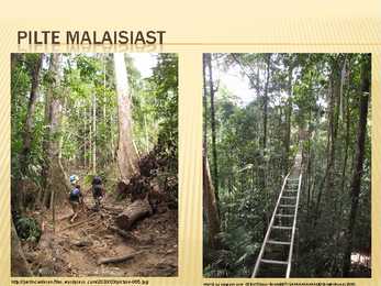 Malaisia Power point #14